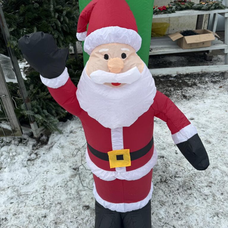 407387808_849836143817639_1382296169704827493_n