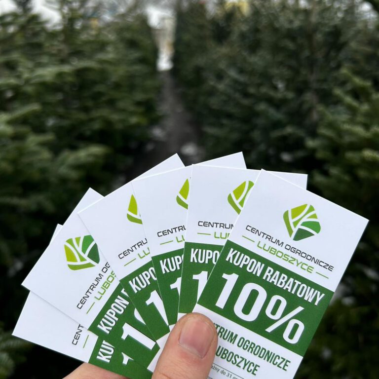 407390170_849954837139103_4029286804637886206_n