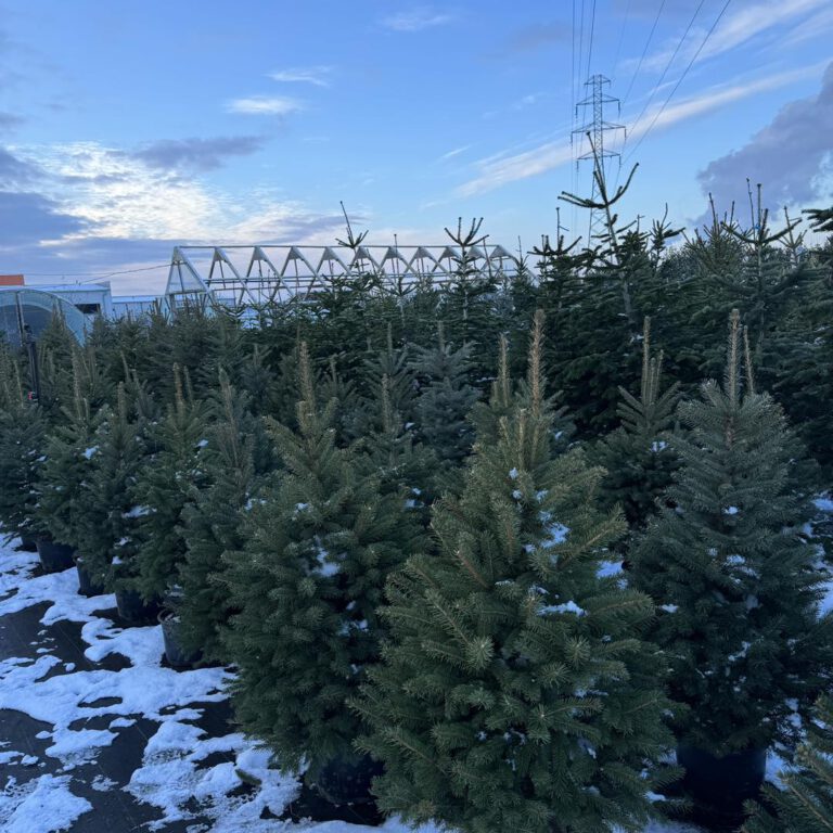 407431630_852384780229442_3445849620507689989_n