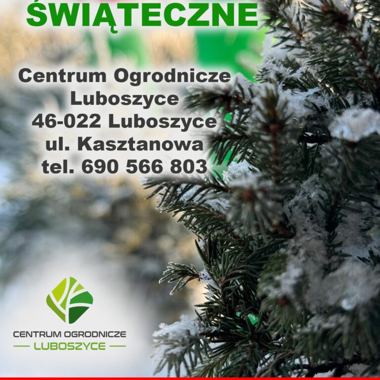 407786580_853096626824924_5347128711261495061_n