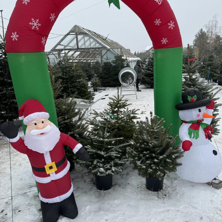 408768227_853891970078723_6740601823358662230_n