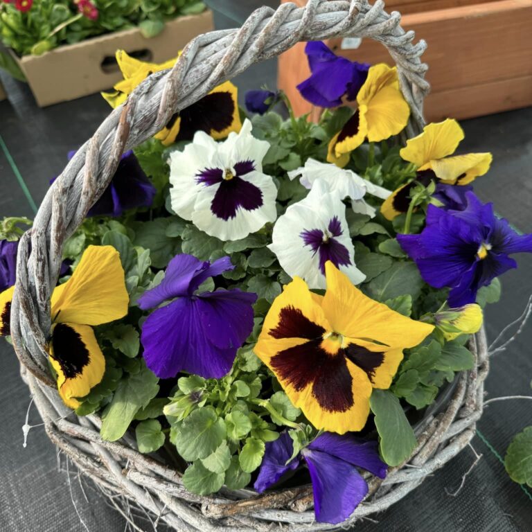 429654514_912581514209768_3101819870959843507_n