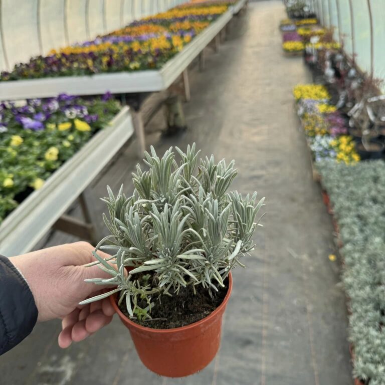 429761905_919974950137091_1426048001850621785_n