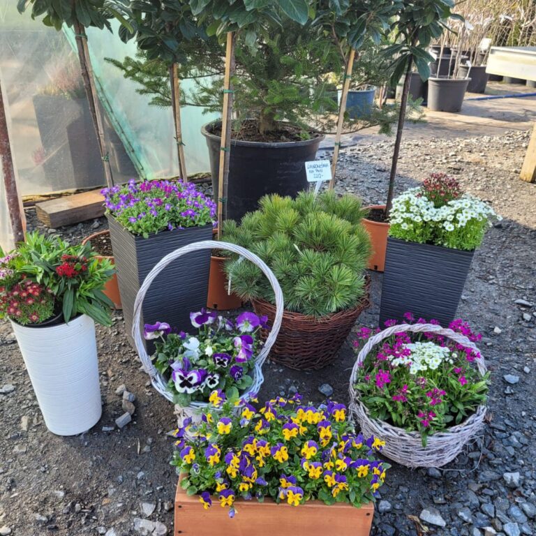 431132895_924077133060206_4182035656462861925_n