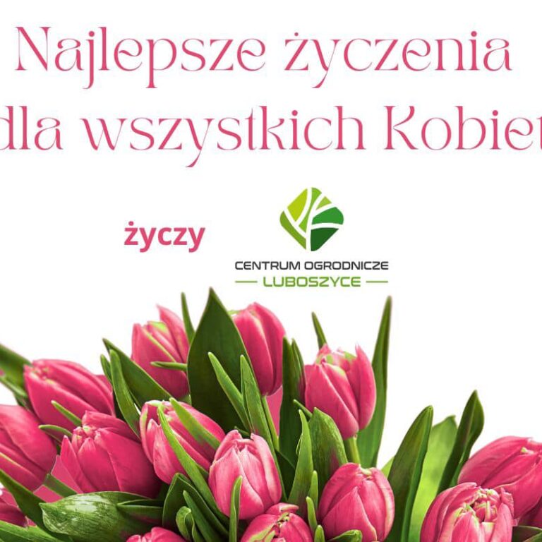 431170332_919807730153813_5778469519191249071_n