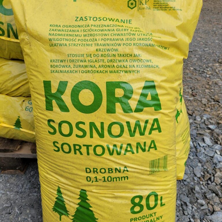 432647219_927511292716790_8293642380881179189_n