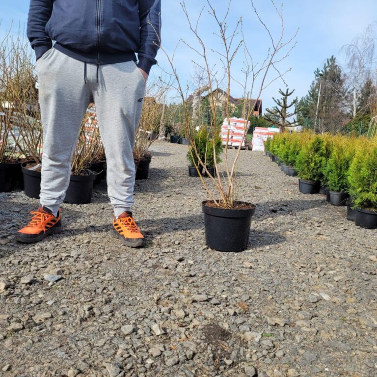 432709119_924888462979073_8054927885248402034_n