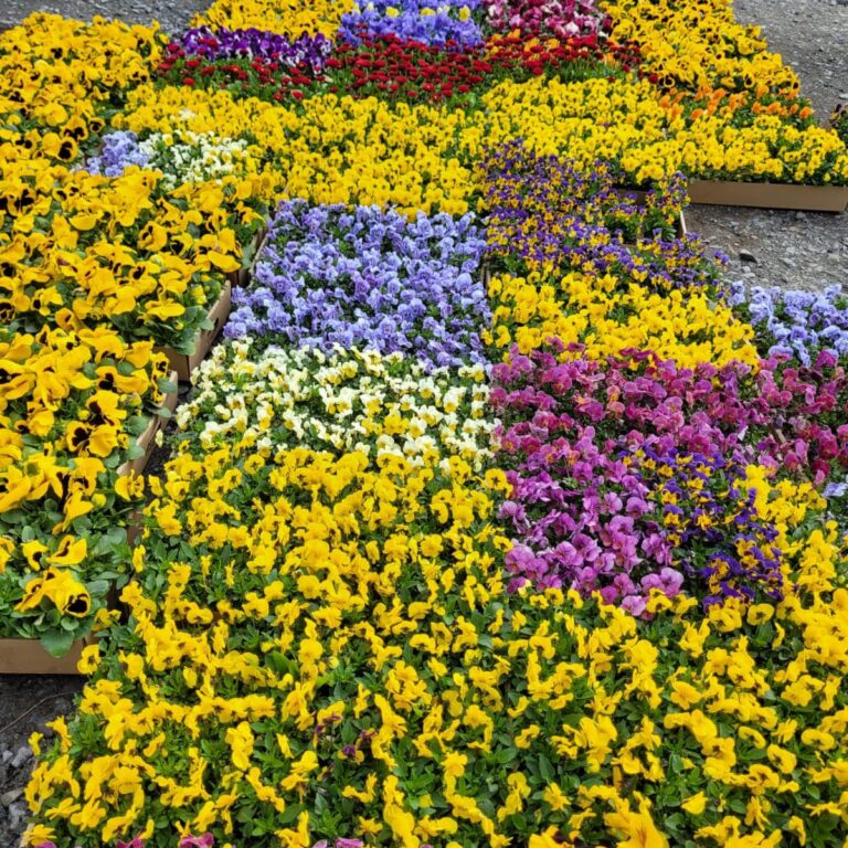 432709263_924717169662869_834192620690936577_n