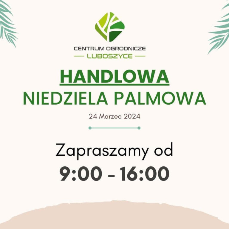 426077833_6530853148248_7611844329692154142_n