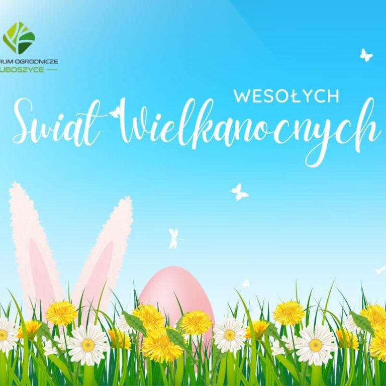 433866226_936137398520846_4675123283378542184_n