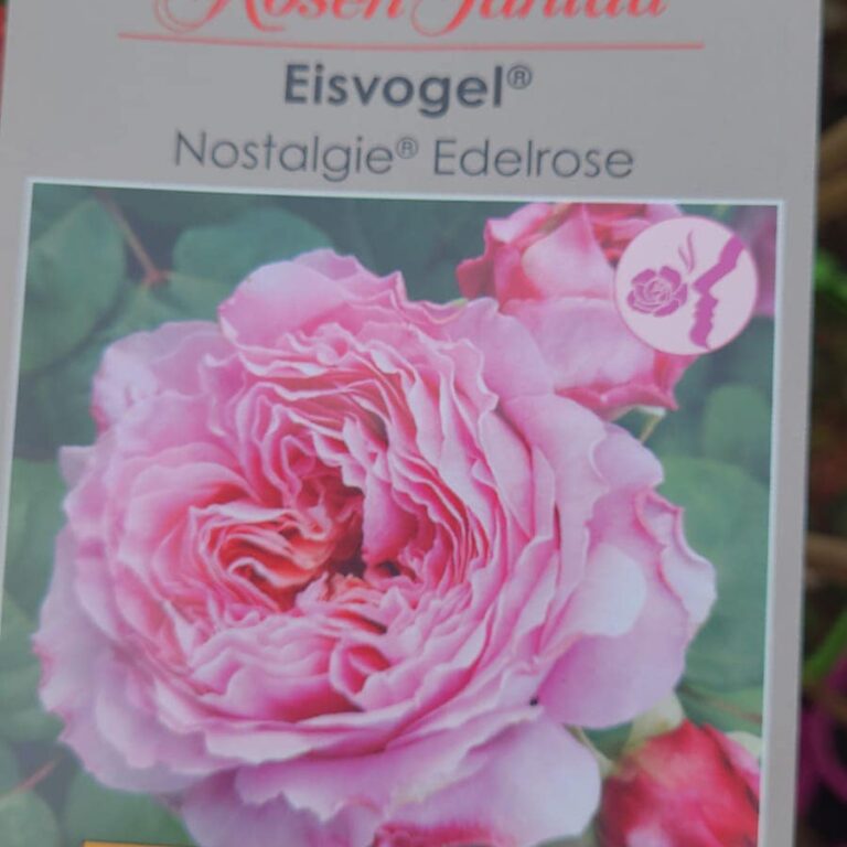 434185043_930548052413114_1700893817863610565_n