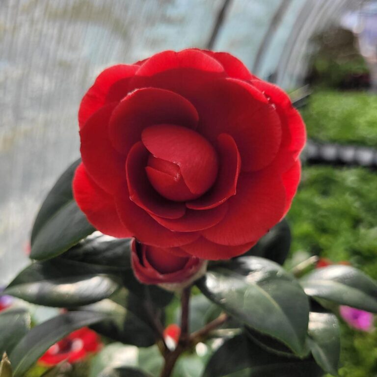 434344198_934627968671789_7416679657349691585_n