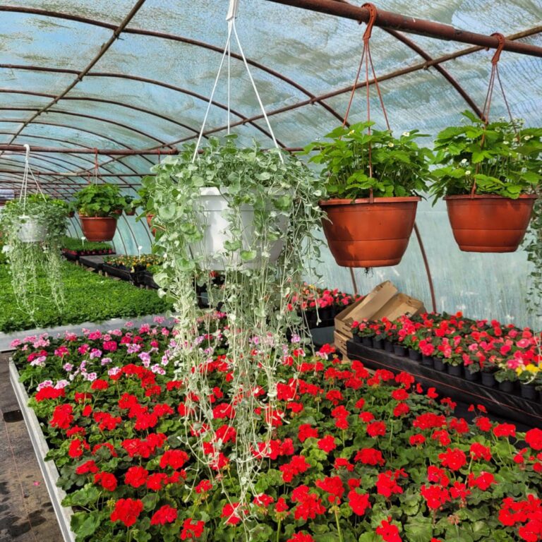 435666655_940568268077759_2067920421582038440_n