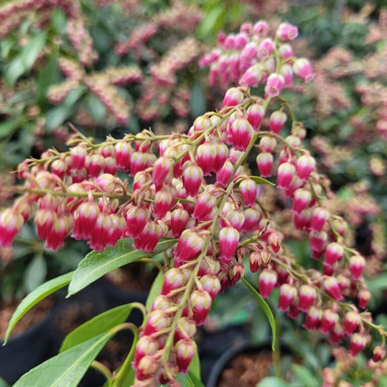 435756685_939590581508861_7691250477768402631_n